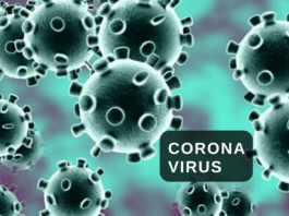 Corona Virus